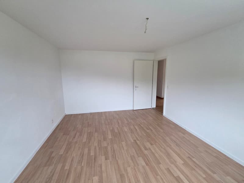 Charmante 4.5-Zimmer-Wohnung in Rohrbach – modern renoviert und sofort verfügbar (8)
