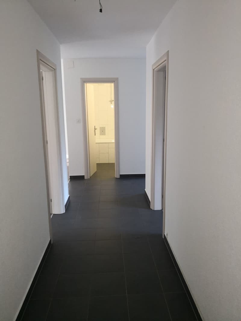 Bel appartement de 3.5 pièces! (4)