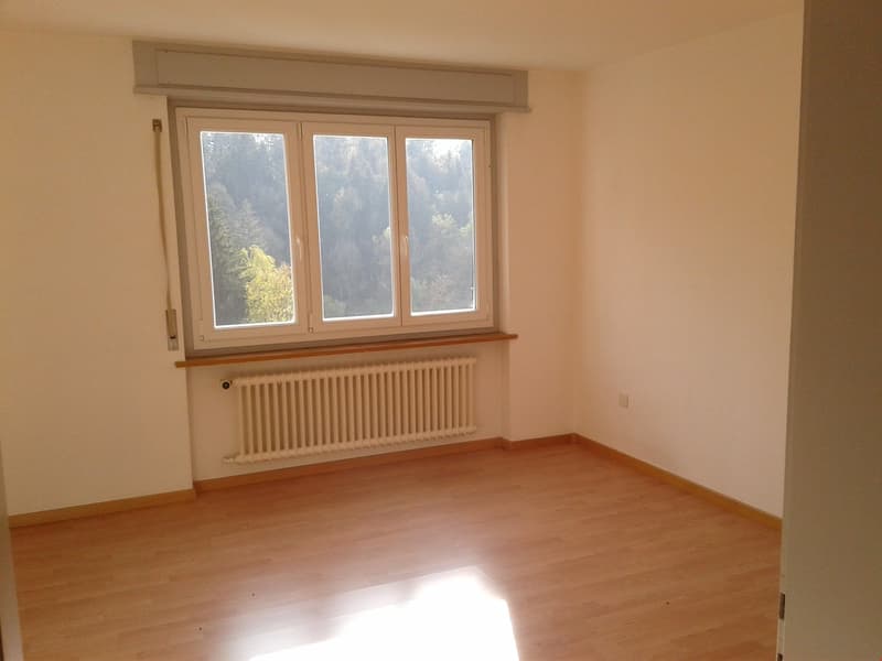 Bel appartement de 3.5 pièces! (3)