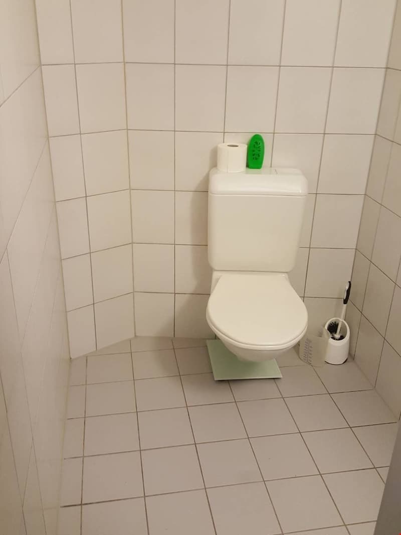 Bel appartement de 3.5 pièces! (5)