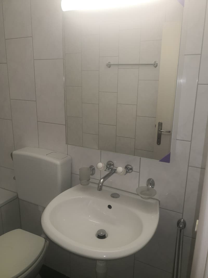 Bel appartement de 3.5 pièces! (6)