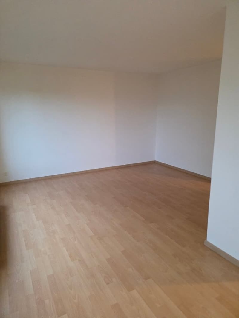 Gemütliche 2.5-Zimmer-Wohnung in Grenchen – sofort verfügbar! (4)