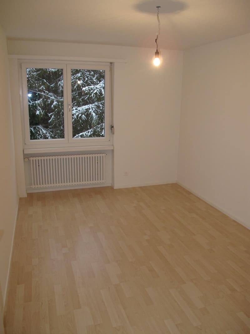 empty room, wooden floor, white walls, large window, radiator, light bulb