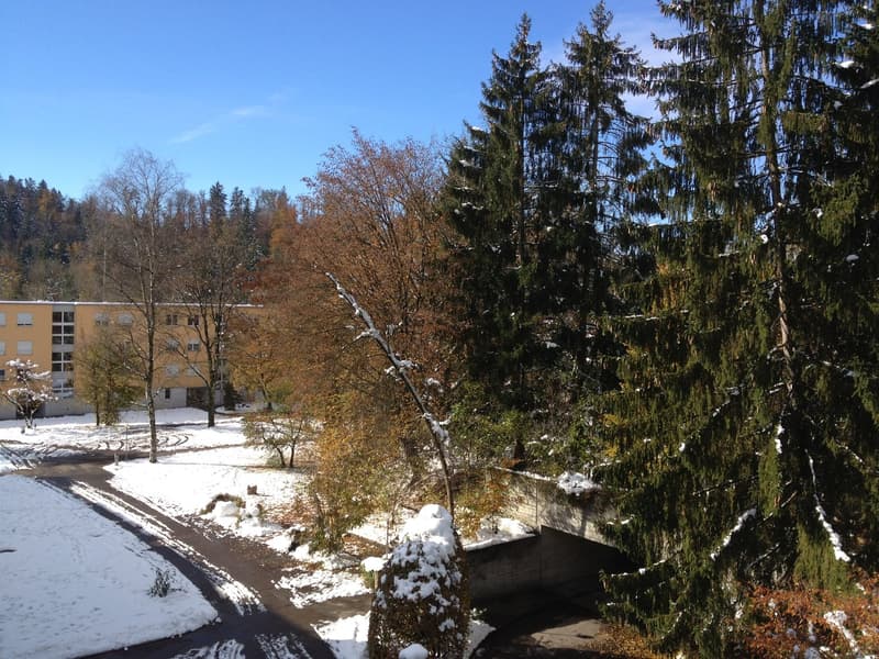 Die schöne Aussicht vom Balkon Richtung Südwesten