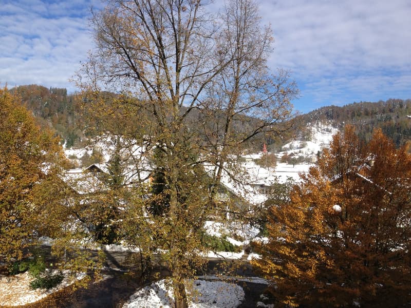 Die schöne Aussicht vom Balkon Richtung Norden