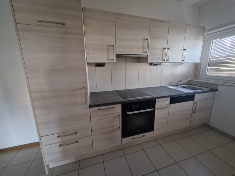 Jolie 2.5-pièce Apartement moderne avec balcon + entrée séparée (2)