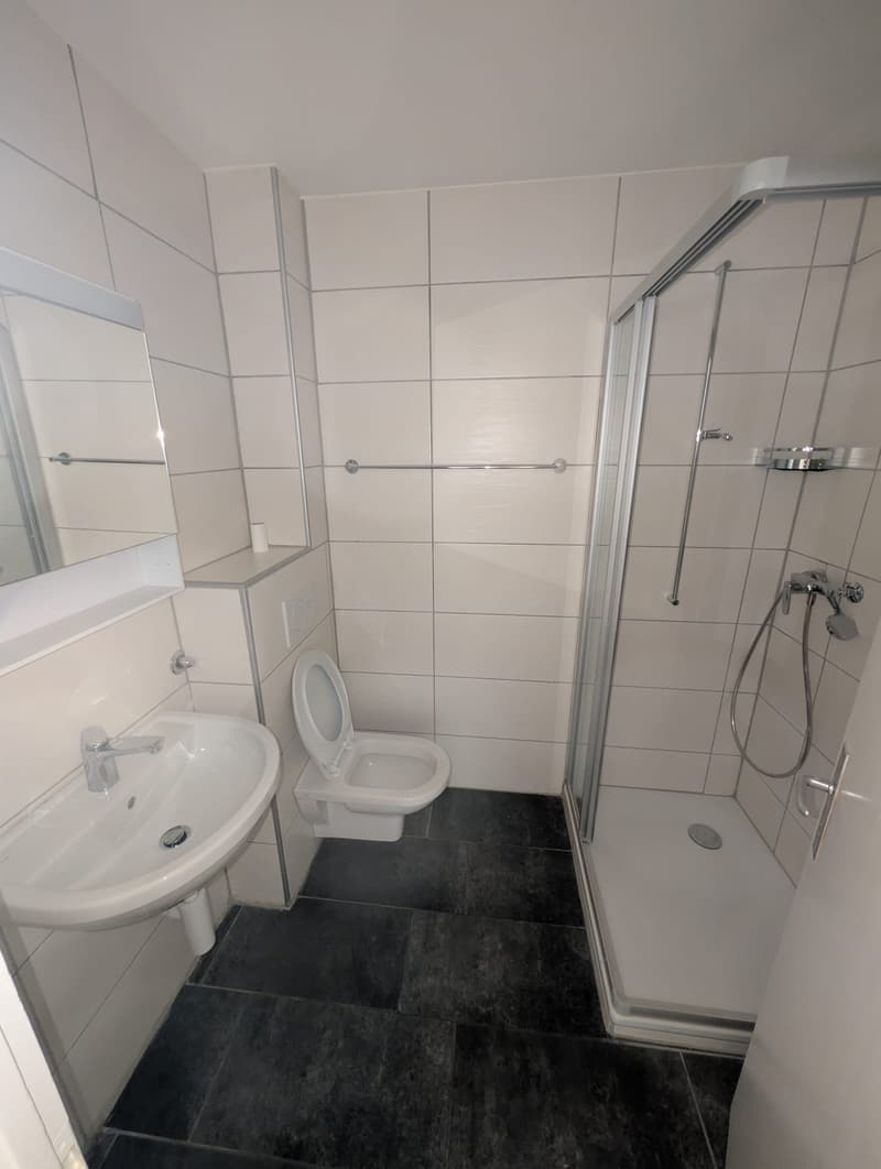 TOP 1.5-pièce Appartement rénové (3)