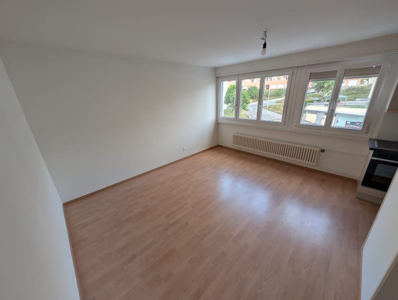 TOP 1.5-pièce Appartement rénové (2)