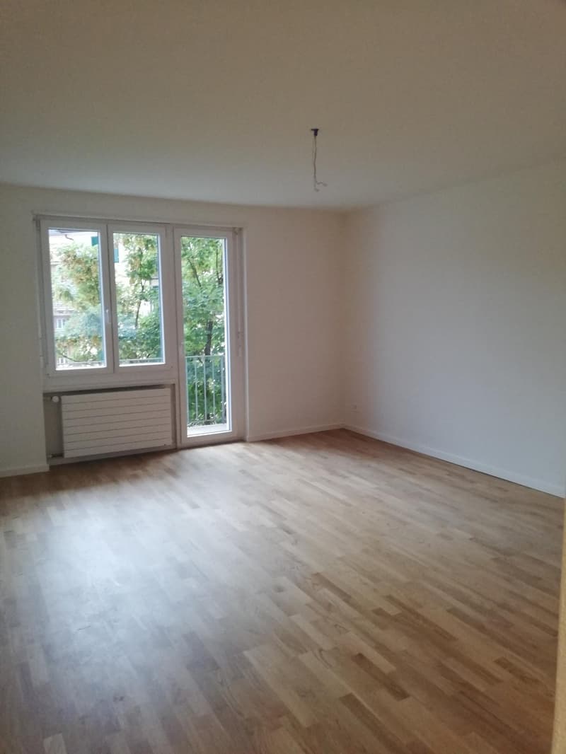 Moderne, sanierte 2.5-Zi Wohnung im Herzen von Zürich 3 (5)