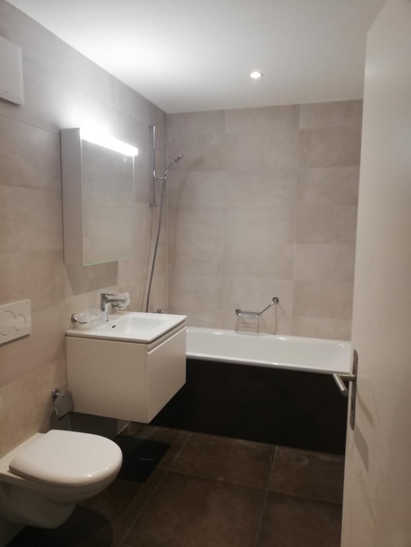 Moderne, sanierte 2.5-Zi Wohnung im Herzen von Zürich 3 (8)