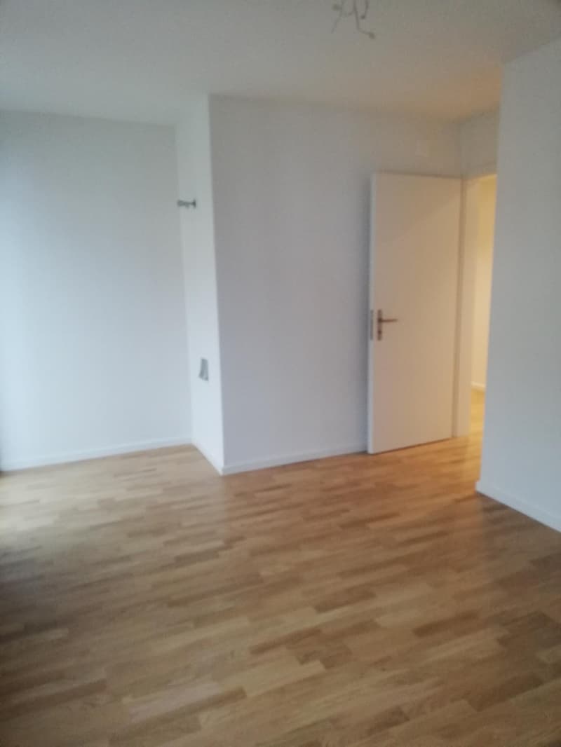Moderne, sanierte 2.5-Zi Wohnung im Herzen von Zürich 3 (3)
