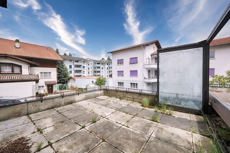 Appartement de 3.5 pièce avec une grande terrasse (9)