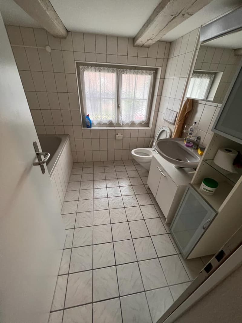Helles 5.5-Zimmer-Apartment mit Balkon in Ramsen (6)