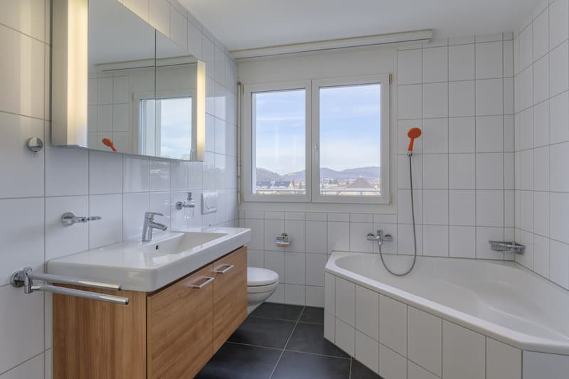 Attraktive 4,5-Zimmerwohnung Attika (8)