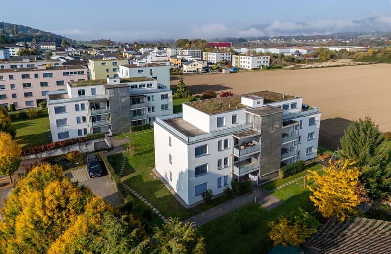 Attraktive 4,5-Zimmerwohnung Attika (2)