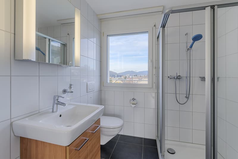 Attraktive 4,5-Zimmerwohnung Attika (9)