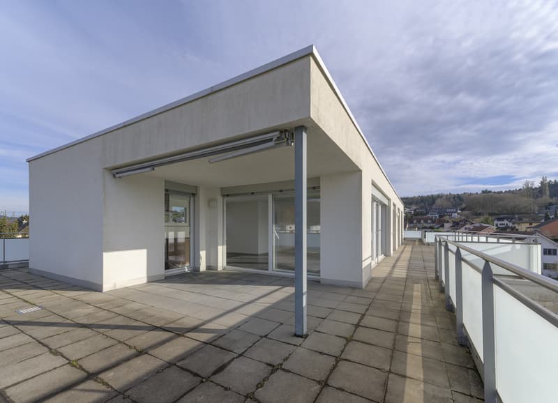 Attraktive 4,5-Zimmerwohnung Attika (11)