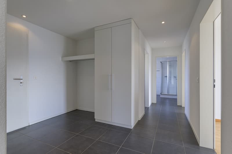 Attraktive 4,5-Zimmerwohnung Attika (3)