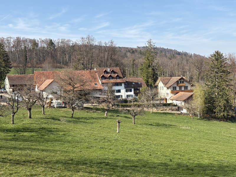 5,5-Zimmerwohnung (1)
