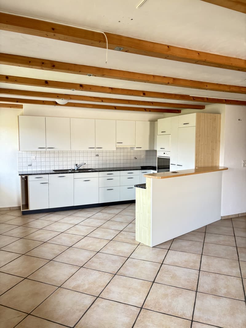 5,5-Zimmerwohnung (4)
