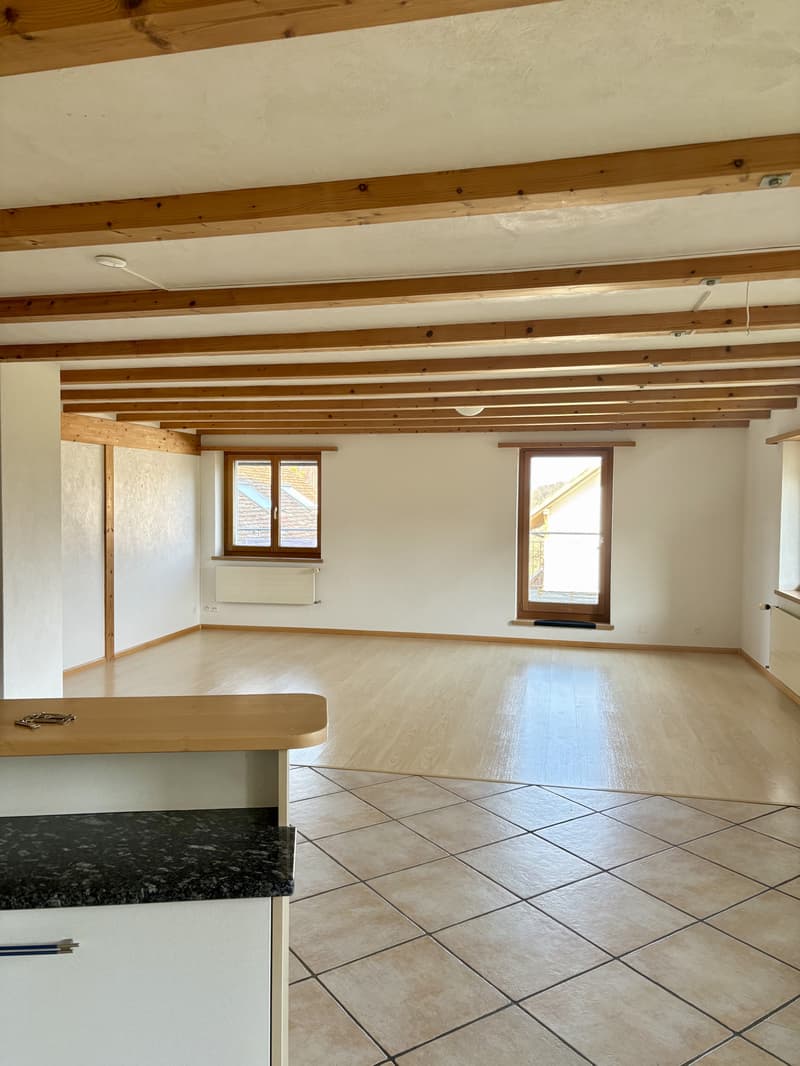 5,5-Zimmerwohnung (5)