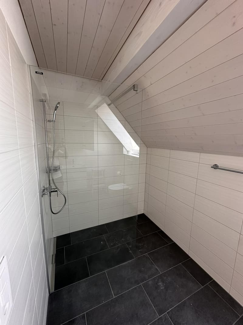 Hallo Kreis 3, hallo exklusive Dachterrasse (5)