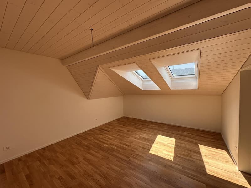 Hallo Kreis 3, hallo exklusive Dachterrasse (3)