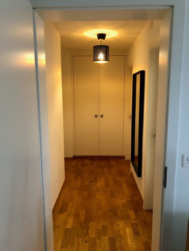 Zuercherstrasse_164_Korridor.png