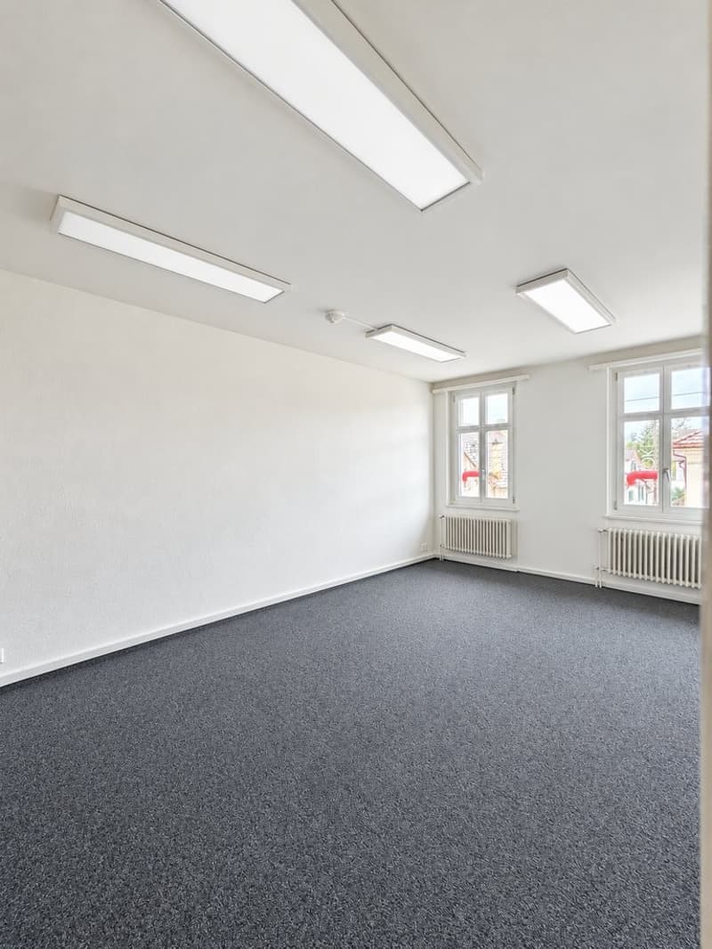 Fläche