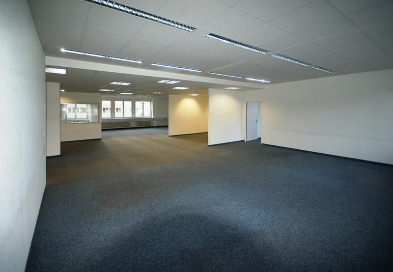 Grosse Bürofläche