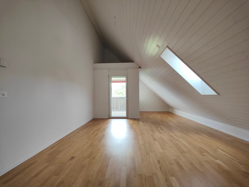 Zimmer1