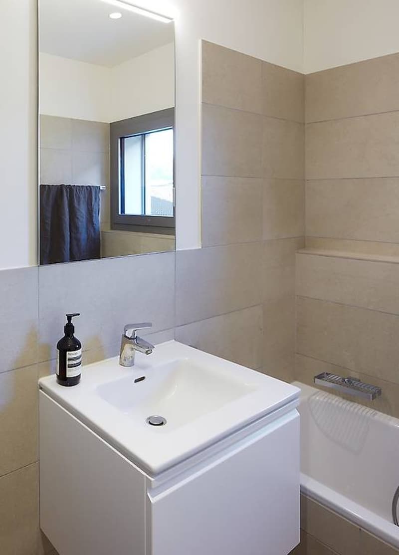 Attico 4.5 locali a Pregassona (6)