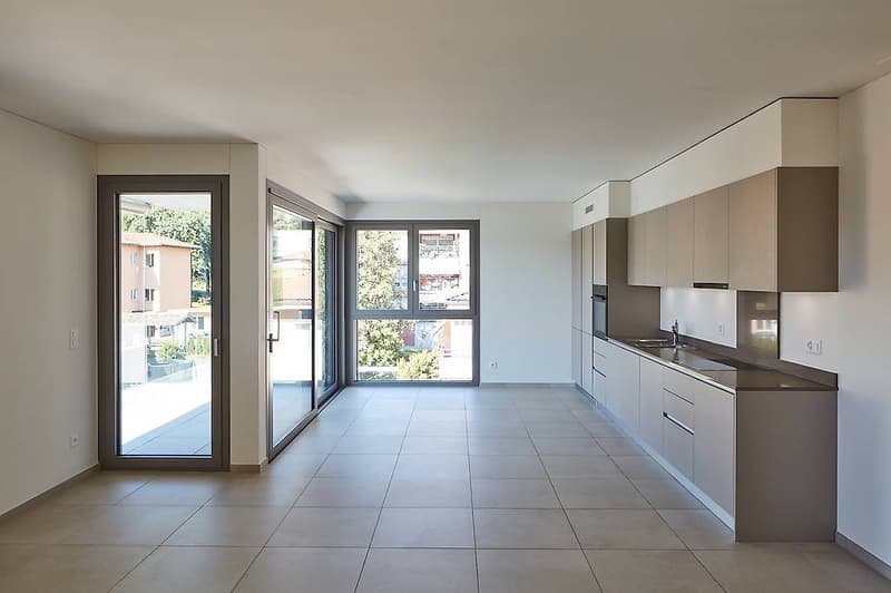 Attico 4.5 locali a Pregassona (1)