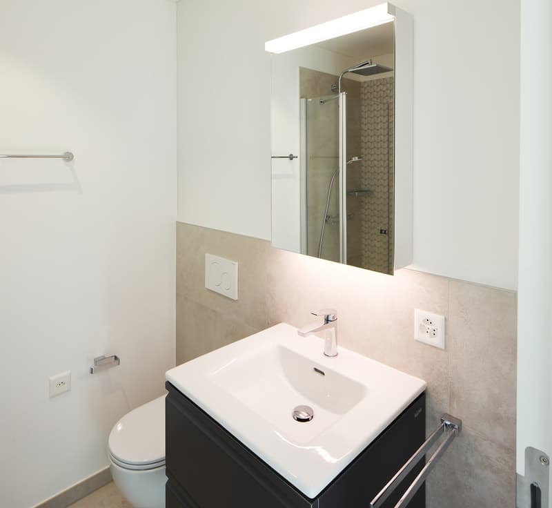 Appartamento 2.5 locali con giardino a Cassina d'Agno (3)