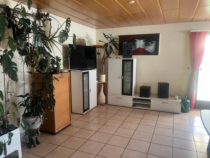 NEUER  PREIS! Bezahlbares, grosses 7,5-Zi.DEFH mit Einlegerwohnung für 2-Generationen -ja gärn! (11)