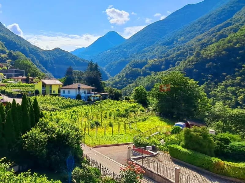 TOP PREIS Bauland an ruhiger Lage mit wunderschöner Aussicht in die Bergwelt in Pianezzo zu verkaufen 1 2