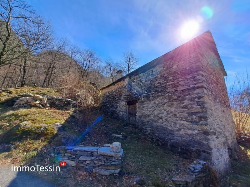 Außergewöhnliches Rustico mit Projekt und 9892 m2 Land 17