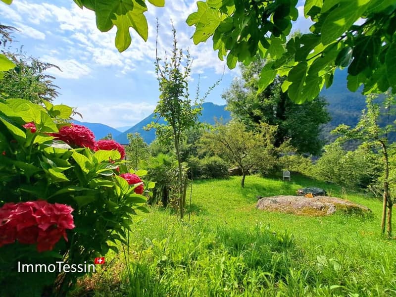 Ein Stück Paradies in Berzona mit 3000m2 Garten 8