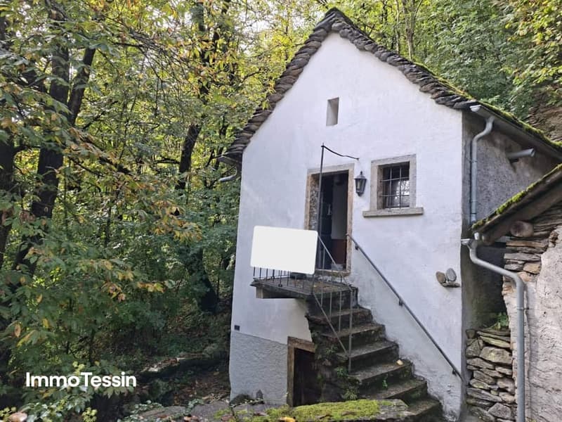 Echtes, charakteristisches Rustico mit Wasser- und Stromanschluss, nur wenige Gehminuten ab Straße, in ruhiger Lage im Grünen 1