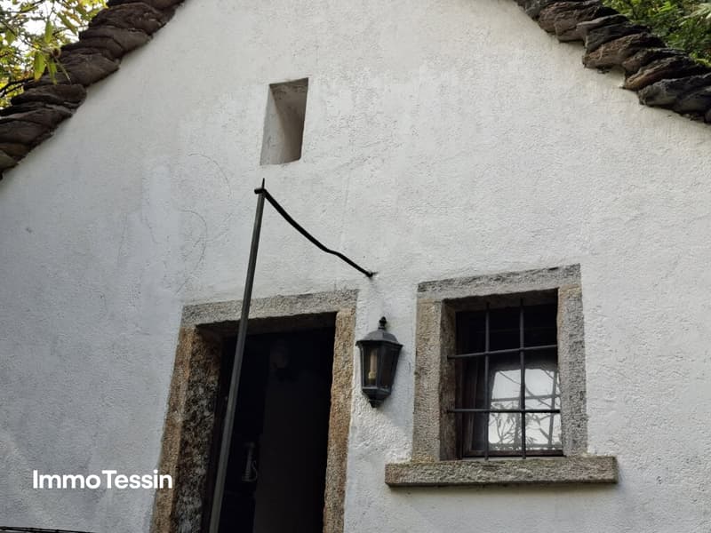 Echtes, charakteristisches Rustico mit Wasser- und Stromanschluss, nur wenige Gehminuten ab Straße, in ruhiger Lage im Grünen 2