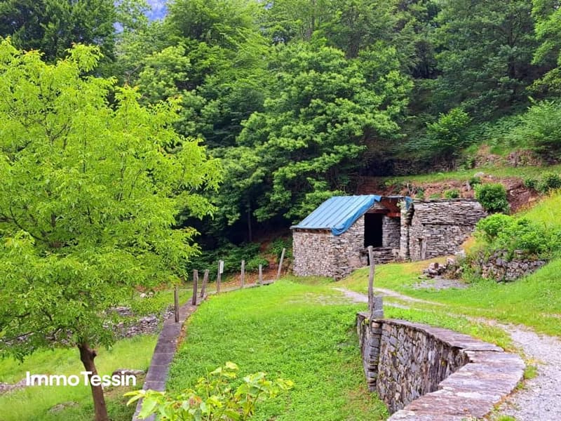 Traumhaftes Rustico in Bignasco Ihr Paradies in den Bergen mit genehmigter Renovierung 3