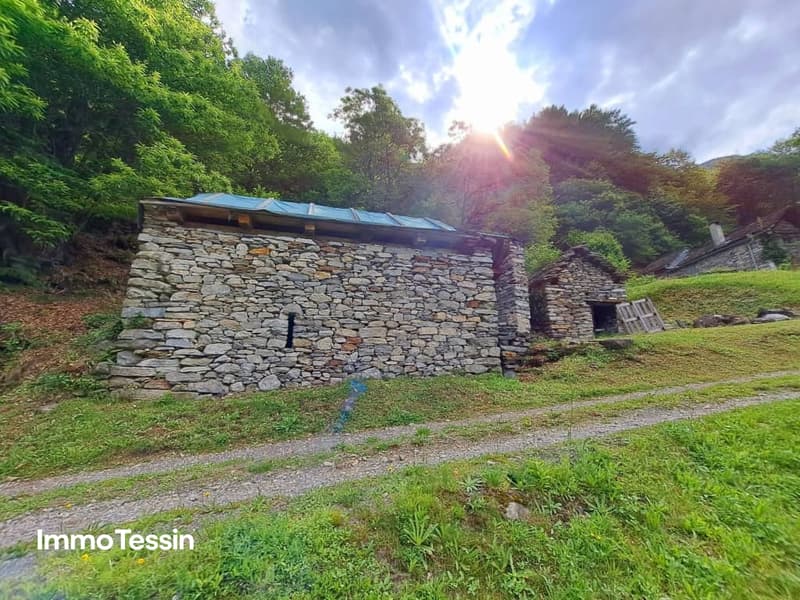 Traumhaftes Rustico in Bignasco Ihr Paradies in den Bergen mit genehmigter Renovierung 14