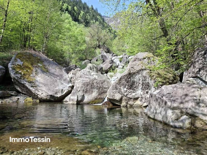 Grosszügiges Bauland mit Waldparzelle an sonniger, naturnaher Lage 10 Autominuten von Biasca entfernt 5