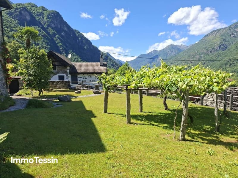 4.5 Zimmer Tessinerhaus mit Einliegerwohnung an dominanter Lage 15