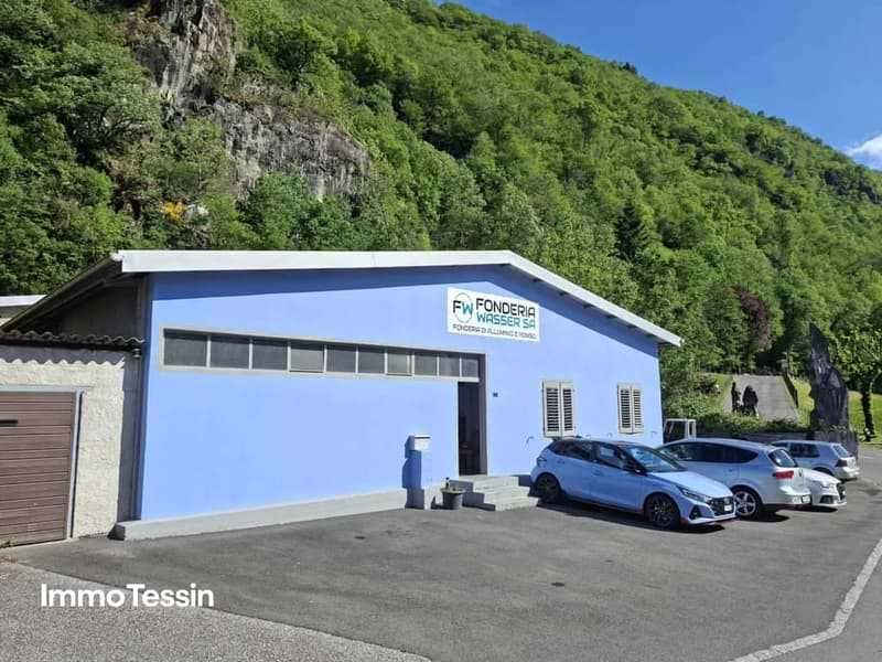 Strategisch gelegene Industriehalle mit attraktiven Möglichkeiten für Gewerbe, Logistik und Produktion 3