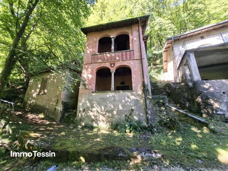 Ein Meisterwerk der Geschichte außergewöhnlicher Weinkeller aus den 1800er Jahren 3