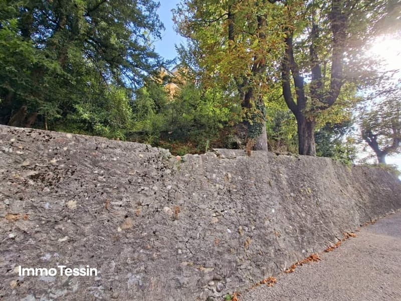 Villa Quisisana das vergessene Schloss über Stabio 4