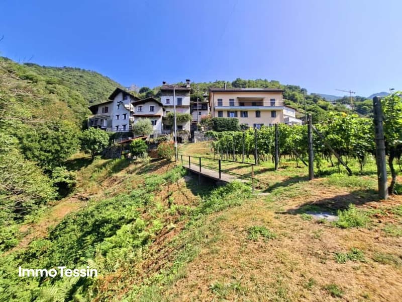 Ein Zuhause mit einzigartiger Aussicht auf die Magadinoebene 19