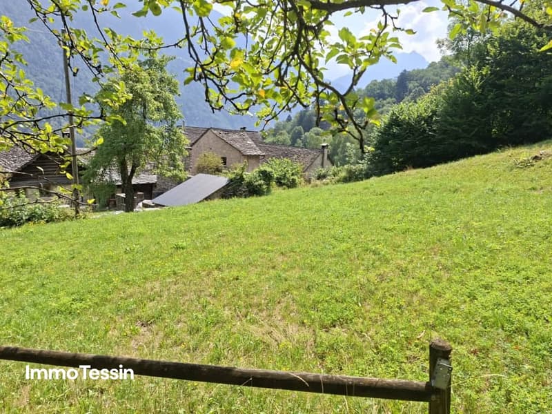 Traumhaftes 3.5 Zimmer Einfamilienhaus mit Bauland an idyllischer Lage04