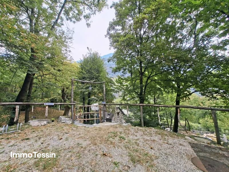 Dolce Vita im Grünen Rustico mit viel Land Privatsphäre Topolino 1